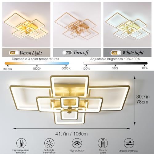 Modern LED Ceiling Light