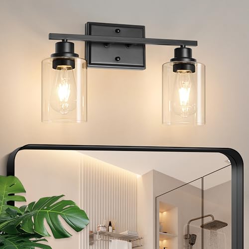 2 Light Bathroom Light Fixtures
