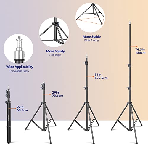 Softbox Lighting Kit