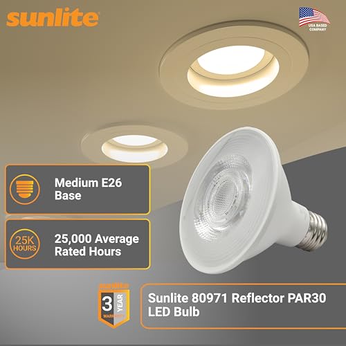 Reflector PAR30 LED Bulb (24 Count)