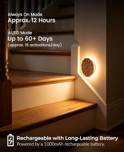 Rechargeable Motion Sensor Light Indoor