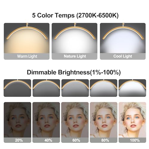 Half Moon Lash Light