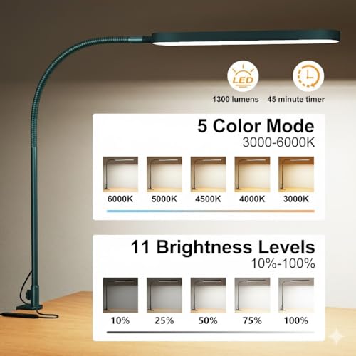 LED Desk Lamp