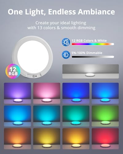 Rechargeable LED RGB Ambient Shower Light Waterproof Inside Wireless (2 Count)
