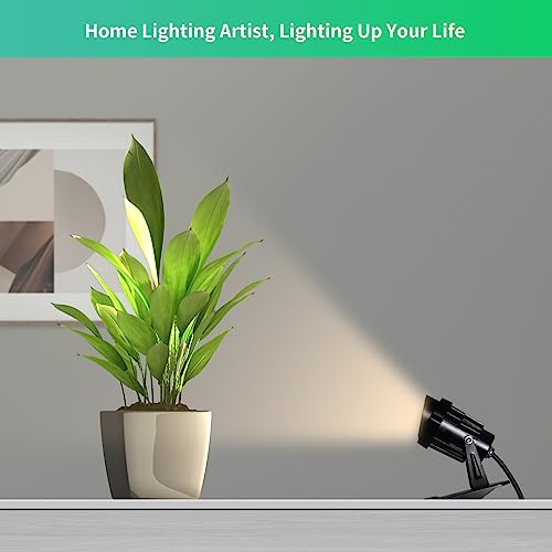 LED Clamp Spot Lights (2 Count)