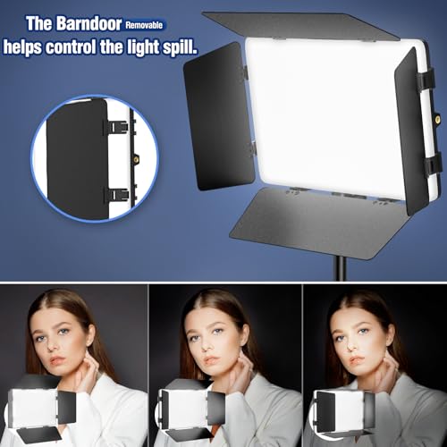 2 Pack LED Video Light Kit with Barn Door (2 Count)
