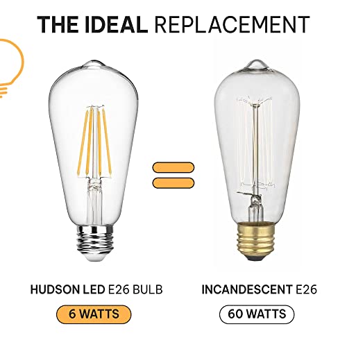 Vintage Edison LED Light Bulbs 6W (6 Count)
