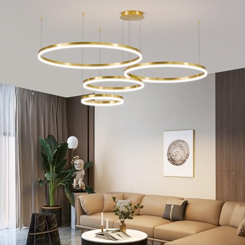Modern Ceiling Chandelier Light