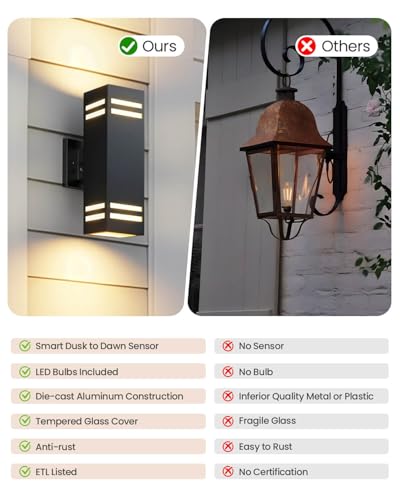 Dusk to Dawn Outdoor Light