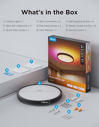 Smart Ceiling Light