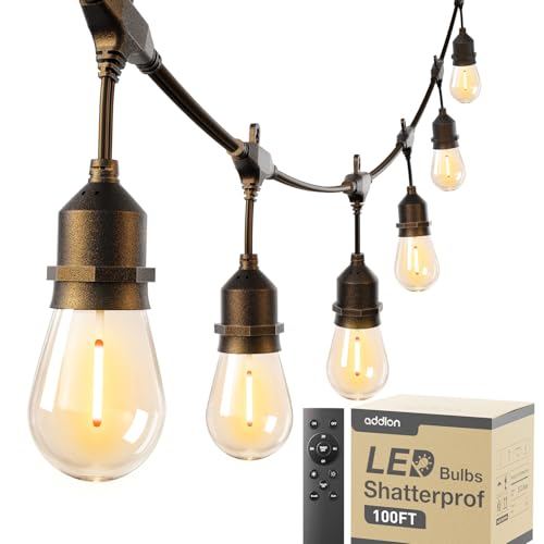 100FT Outdoor String Lights with Remote Dimmable Waterproof Patio (100 Foot)