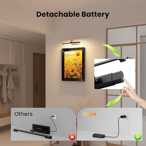 16" Picture Light with 6000mAh Battery