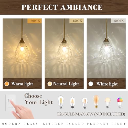 Brushed Gold Pendant Lights Kitchen Island 2 Pack (2 Count)