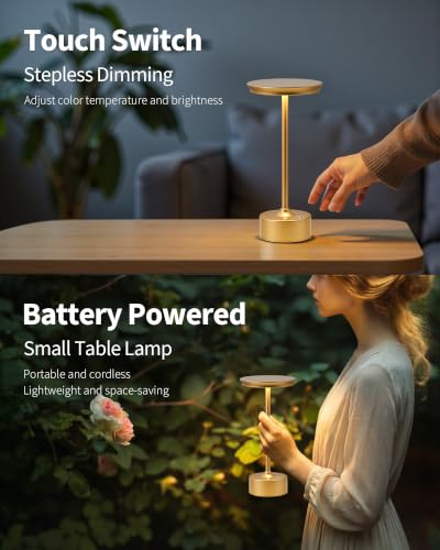 Rechargeable Table Lamps Set of 2 (2 Count)