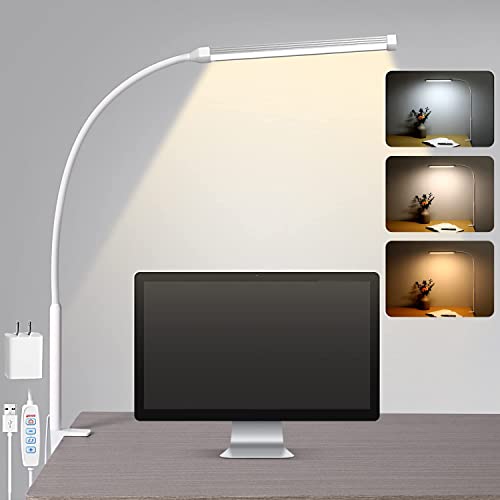 LED Desk Lamp with Clamp