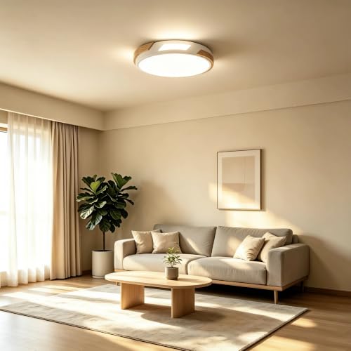 Modern LED Ceiling Light