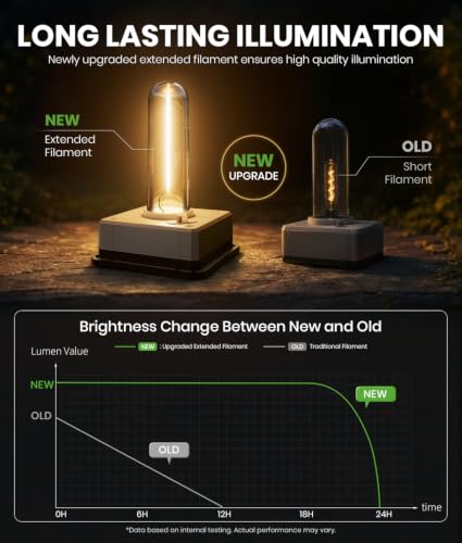 Solar Pathway Lights Outdoor (2 Count)