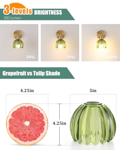 Tulip Lamp Shades Replacement (2 Count)
