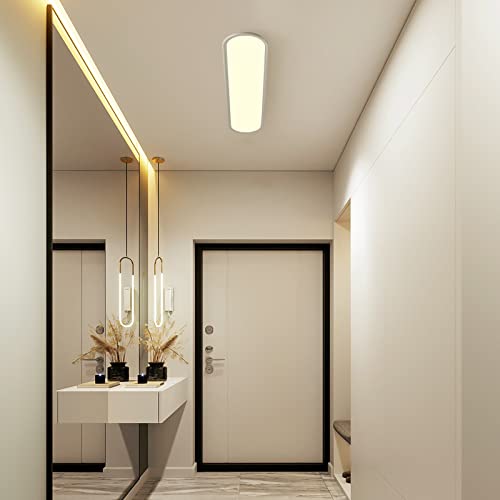 39.4 Inch Dimmable LED Ceiling Light