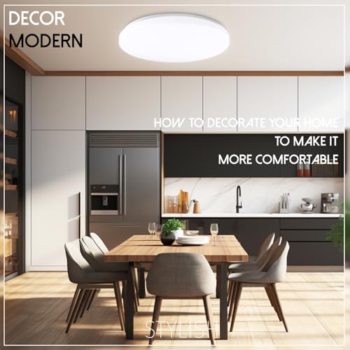 20 inch Ceiling Light Flush Mount 48W