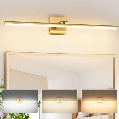 LED Bathroom Vanity Light