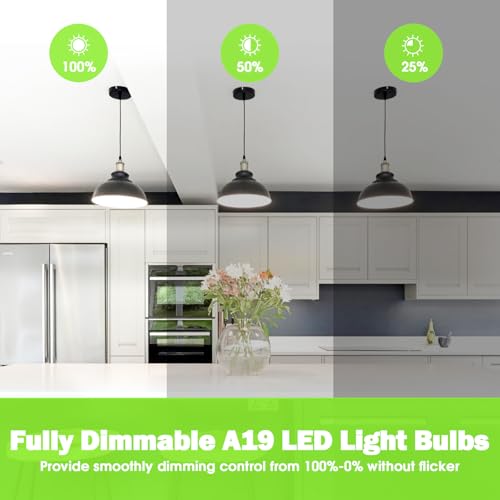 A19 LED Light Bulb 60W Equivalent (4 Count)