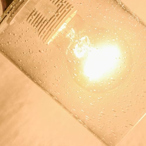 6Pcs Clear Bubble Glass Lamp Shade (6 Count)