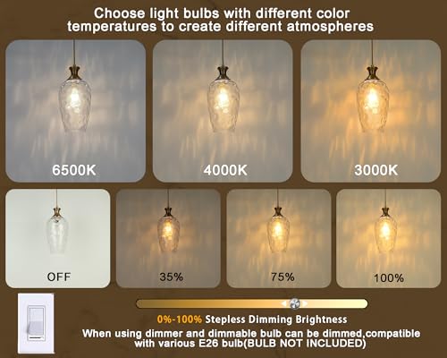 Glass Pendant Lights Kitchen Island (2 Count)