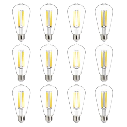 100W Equivalent LED Edison Bulbs (12 Count)