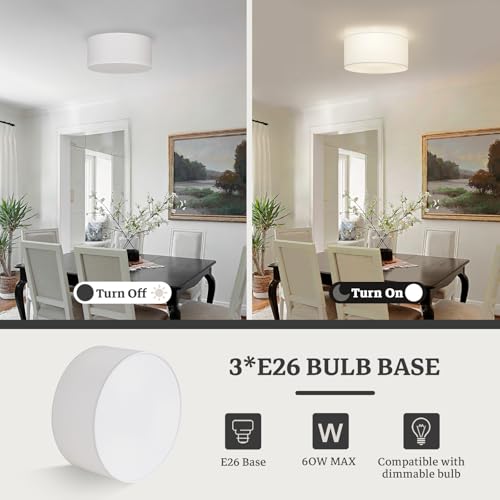 Semi Flush Mount Ceiling Light Fixture