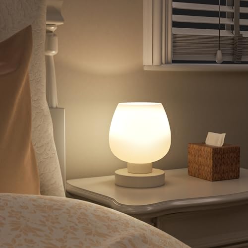 Cordless Touch Table Lamp for Nightstand