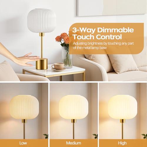 Glass Table Lamp for Living Room