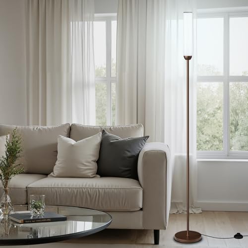 LED Floor Lamp with Remote Control