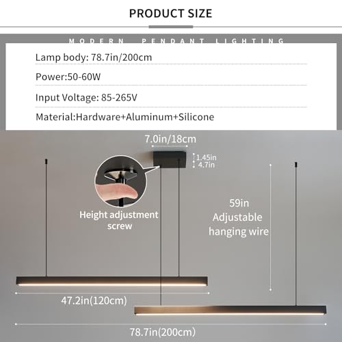 Modern 2 Light Chandelier