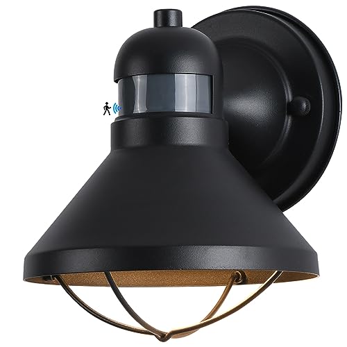Dusk to Dawn Motion Sensor Outdoor LED Porch Wall Light Fixture