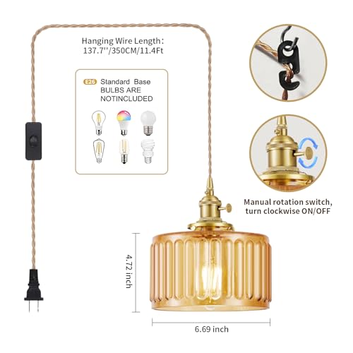 Plug in Pendant Light