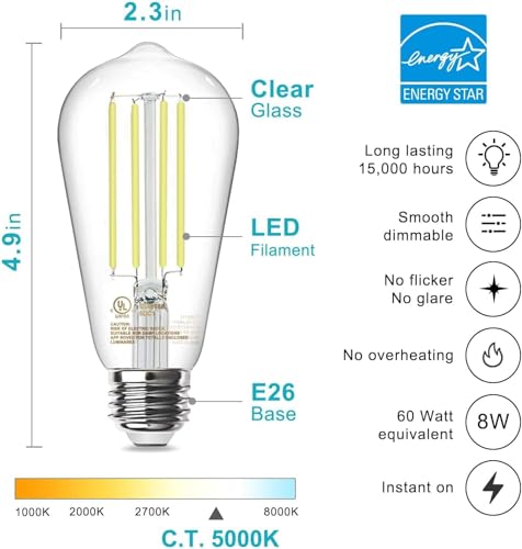 LED Edison Light Bulbs (20 Count)
