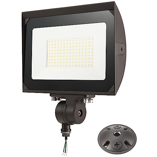 100W Outdoor LED Flood Light with Plate
