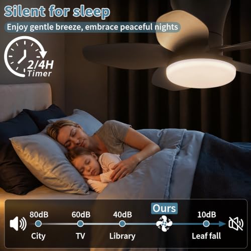 Small Ceiling Fan with Lights (25 Inch)