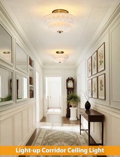 Semi Flush Mount Ceiling Light