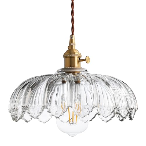 Plug in Pendant Light Hanging Lamp