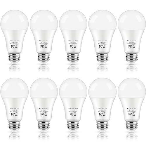 LED Light Bulbs (10 Count)