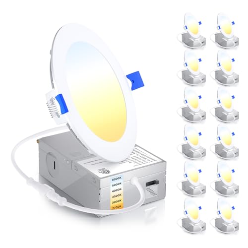 12 Pack 4 Inch LED Recessed Ceiling Light (12 Count)