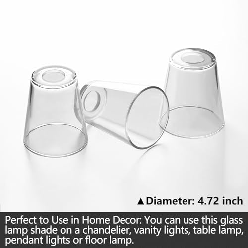 Fixture Replacement Clear Glass Shade (6 Count)