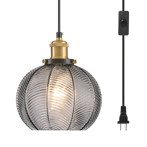 Modern Plug in Hanging Light