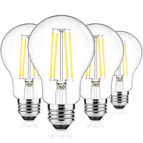A19 Vintage LED Edison Light Bulbs 60W Equivalent (4 Count)