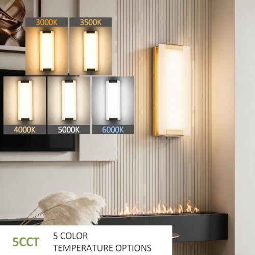 Hardwired Modern Gold LED Wall Sconce Indoor Wall Light Fixture