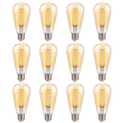 100W Equivalent LED Edison Bulbs (12 Count)