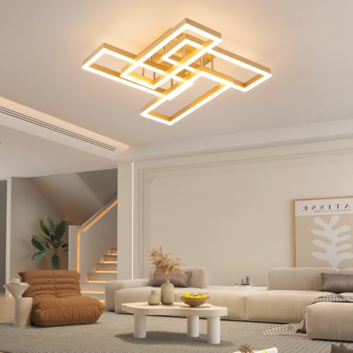 Modern Led Ceiling Light for Living Room