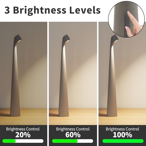 Cordless Rechargeable Reading Metal Table Lamp